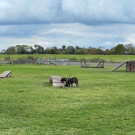 Gulfhaus Alte Meesterei Manslagt Exteriör bild