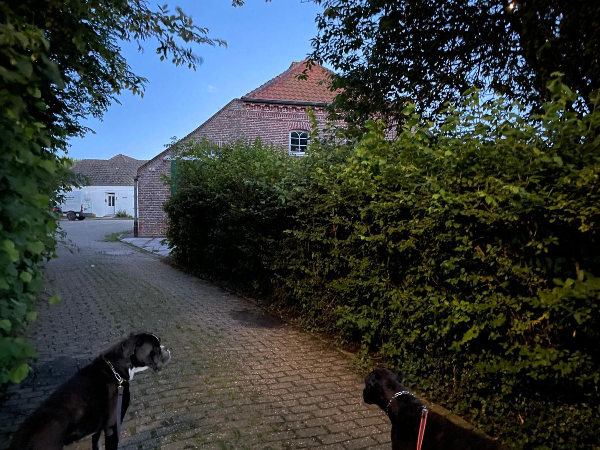 Gulfhaus Alte Meesterei Manslagt Exteriör bild